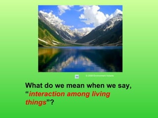 What do we mean when we say,  “ interaction among living things ”? © 2006 Environment Victoria 
