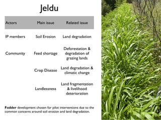 NBDC action research and innovation platforms