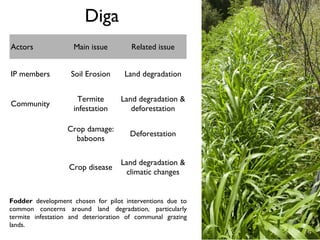 NBDC action research and innovation platforms