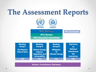 The Assessment Reports
 