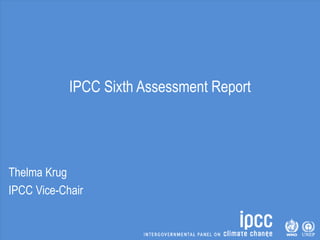 IPCC Sixth Assessment Report
Thelma Krug
IPCC Vice-Chair
 