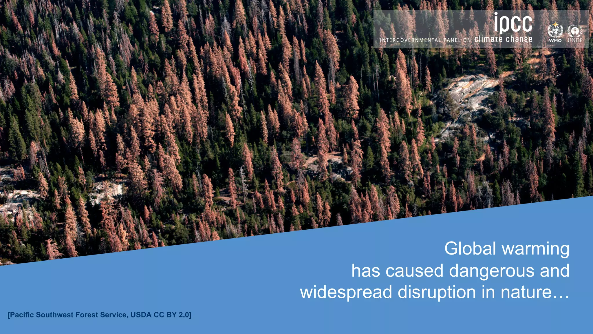 SIXTH ASSESSMENT REPORT
Global warming
has caused dangerous and
widespread disruption in nature…
[Pacific Southwest Forest Service, USDA CC BY 2.0]
 