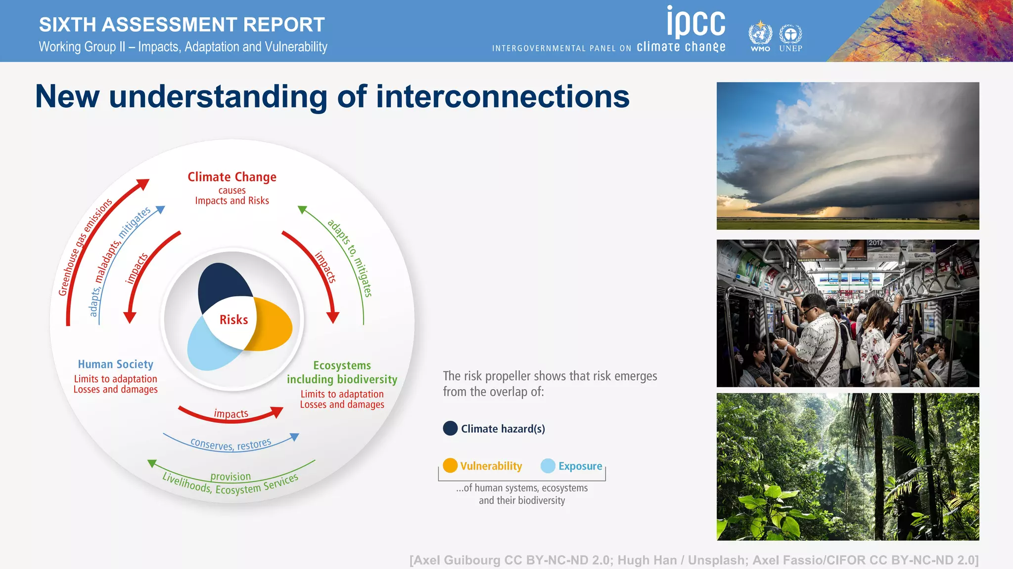 SIXTH ASSESSMENT REPORT
Working Group II – Impacts, Adaptation and Vulnerability
[Axel Guibourg CC BY-NC-ND 2.0; Hugh Han / Unsplash; Axel Fassio/CIFOR CC BY-NC-ND 2.0]
New understanding of interconnections
 