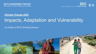 Climate Change 2022
Impacts, Adaptation and Vulnerability
Co-Chairs of IPCC Working Group II
SIXTH ASSESSMENT REPORT
Working Group II – Impacts, Adaptation and Vulnerability
 
