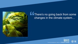 SIXTH ASSESSMENT REPORT
Working Group I – The Physical Science Basis
“There’s no going back from some
changes in the climate system…
[Credit: Jenn Caselle | UCSB]
 
