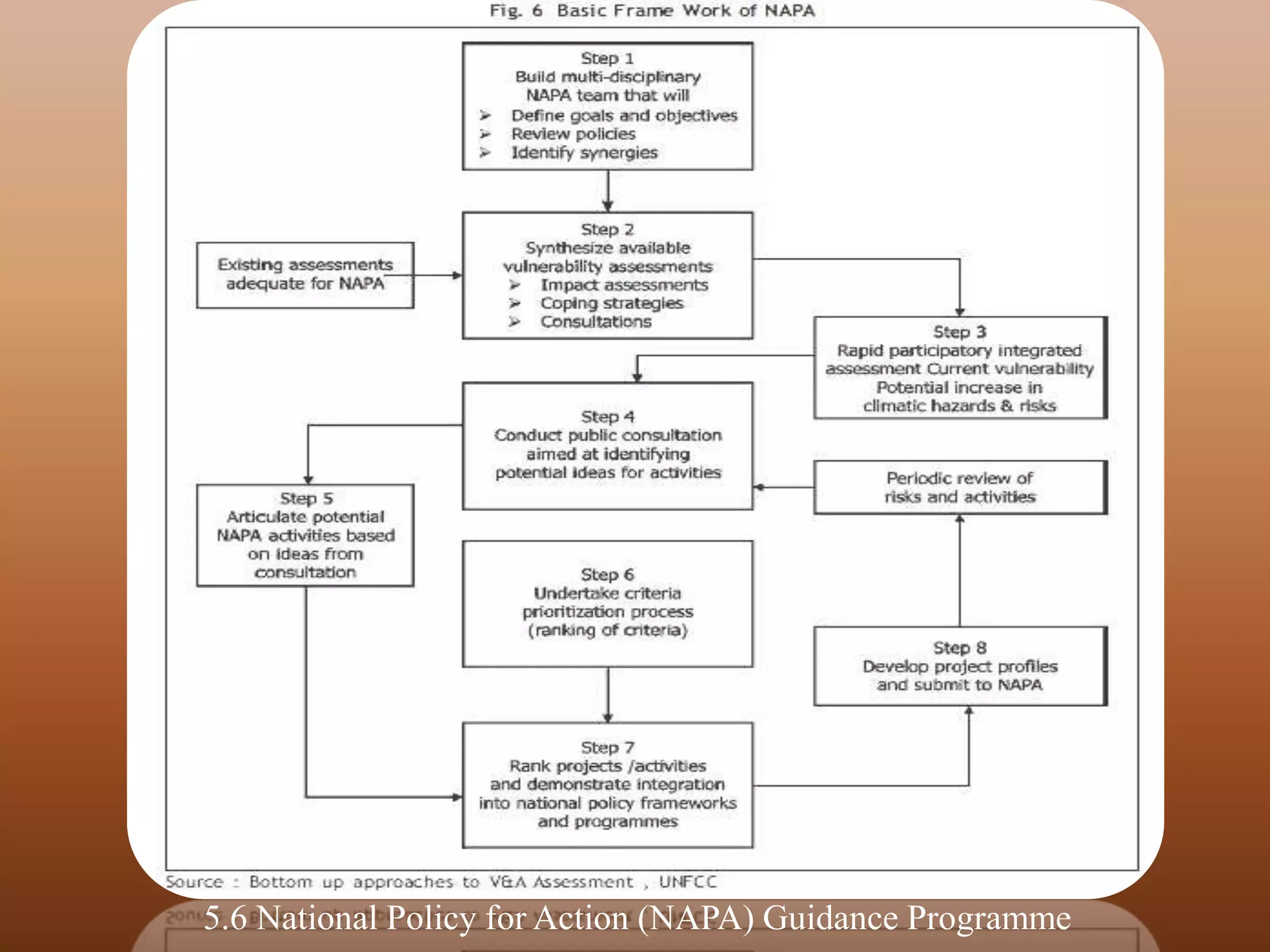 5.6 National Policy for Action (NAPA) Guidance Programme
 