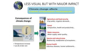 LESS VISUAL BUT WITH MAJOR IMPACT
> Temperature increase
> Less & erratic rain
Agriculture and food security
Crop yields, irrigation demands...
Forest
Composition, health and productivity...
Water resources
Water supply, water quality...
Species and natural areas
Biodiversity, modification of ecosystems...
Human health
Infectious diseases, human settlements...
Consequences of
climate change:
 