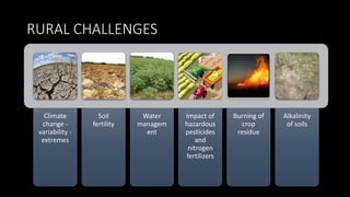 RURAL CHALLENGES
Climate
change -
variability -
extremes
Soil
fertility
Water
managem
ent
Impact of
hazardous
pesticides
and
nitrogen
fertilizers
Burning of
crop
residue
Alkalinity
of soils
 