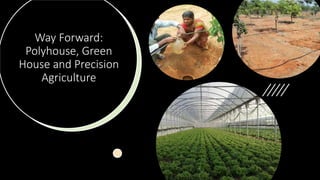Way Forward:
Polyhouse, Green
House and Precision
Agriculture
 