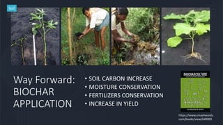 Way Forward:
BIOCHAR
APPLICATION
• SOIL CARBON INCREASE
• MOISTURE CONSERVATION
• FERTILIZERS CONSERVATION
• INCREASE IN YIELD
Soil
https://www.smashwords.
com/books/view/649995
 