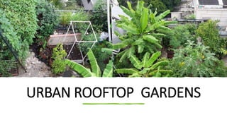 URBAN ROOFTOP GARDENS
 