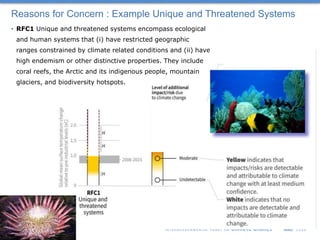 Reasons for Concern : Example Unique and Threatened Systems
• RFC1 Unique and threatened systems encompass ecological
and ...