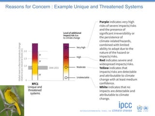 Reasons for Concern : Example Unique and Threatened Systems
 