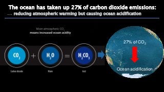 The ocean has taken up 27% of carbon dioxide emissions:
…. reducing atmospheric warming but causing ocean acidification
27...