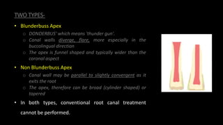 TWO TYPES-
• Blunderbuss Apex
o DONDERBUS' which means 'thunder gun'.
o Canal walls diverge, flare, more especially in the
buccolingual direction
o The apex is funnel shaped and typically wider than the
coronal aspect
• Non Blunderbuss Apex
o Canal wall may be parallel to slightly convergent as it
exits the root
o The apex, therefore can be broad (cylinder shaped) or
tapered
• In both types, conventional root canal treatment
cannot be performed.
 