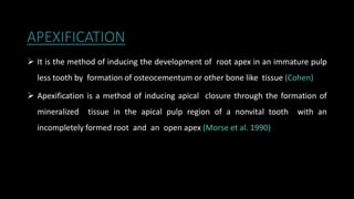 APEXIFICATION
 It is the method of inducing the development of root apex in an immature pulp
less tooth by formation of osteocementum or other bone like tissue (Cohen)
 Apexification is a method of inducing apical closure through the formation of
mineralized tissue in the apical pulp region of a nonvital tooth with an
incompletely formed root and an open apex (Morse et al. 1990)
 
