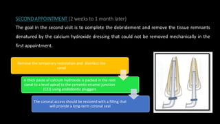 SECONDAPPOINTMENT (2 weeks to 1 month later)
The goal in the second visit is to complete the debridement and remove the tissue remnants
denatured by the calcium hydroxide dressing that could not be removed mechanically in the
first appointment.
Remove the temporary restoration and disinfect the
canal
A thick paste of calcium hydroxide is packed in the root
canal to a level apical to the cemento-enamel junction
(CEJ) using endodontic pluggers
The coronal access should be restored with a filling that
will provide a long-term coronal seal
 