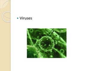  Viruses
 