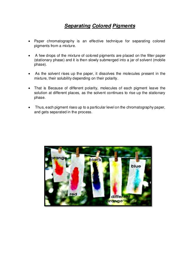 paper chromatography project class 12