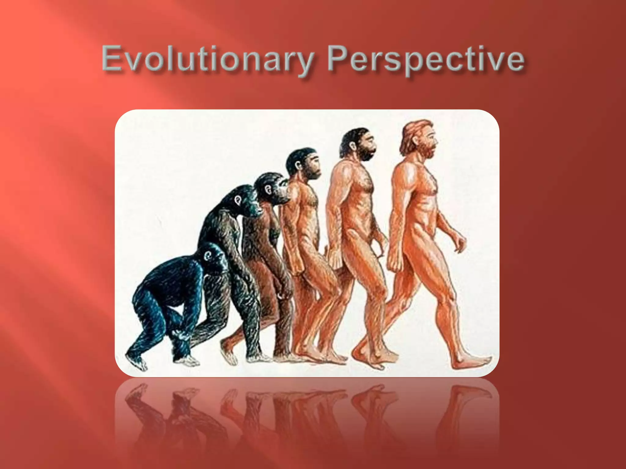 Evolutionary Perspective