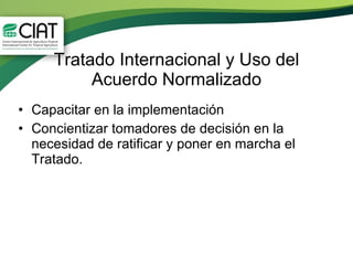 Conclusiones y recomendaciones finales