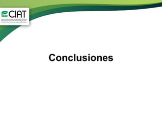 Conclusiones y recomendaciones finales