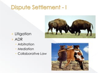 › Litigation
› ADR
   Arbitration
   Mediation
   Collaborative Law
 