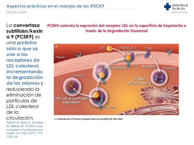 Manejo práctico de los inhibidores del CPKS9 Manejo práctico de los inhibidores del CPKS9