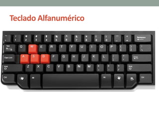 Teclado Alfanumérico
 
