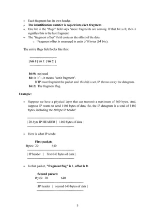 IP Datagram Structure | PDF