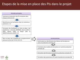 Mise en place des Plateformes d’Innovation de la chaine des valeurs des ruminants domestiques au Mali