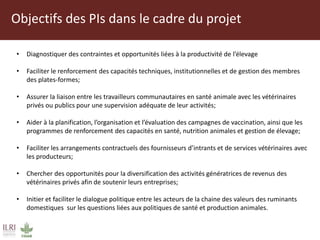Mise en place des Plateformes d’Innovation de la chaine des valeurs des ruminants domestiques au Mali