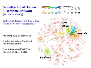 Leukemia Triangle The Power of Motif Counting Theory, Algorithms, and Applications for ...