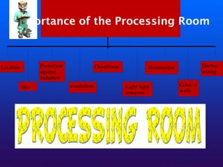 Importance of the Processing Room
Location
Size
Protection
against
radiation
ventilation
Cleanliness
Light tight
entrance
illumination
Color of
walls
Electric
wiring
 