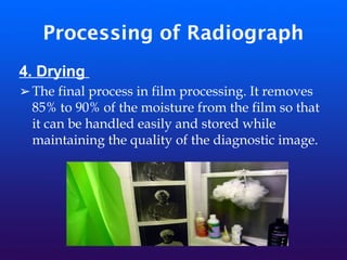 Processing of Radiograph
4. Drying
➢The final process in film processing. It removes
85% to 90% of the moisture from the film so that
it can be handled easily and stored while
maintaining the quality of the diagnostic image.
 