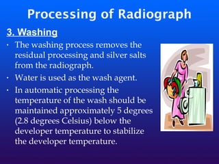 Processing of Radiograph
3. Washing
• The washing process removes the
residual processing and silver salts
from the radiograph.
• Water is used as the wash agent.
• In automatic processing the
temperature of the wash should be
maintained approximately 5 degrees
(2.8 degrees Celsius) below the
developer temperature to stabilize
the developer temperature.
 