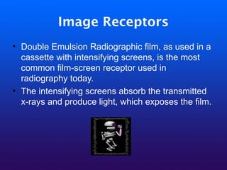 Image Receptors
• Double Emulsion Radiographic film, as used in a
cassette with intensifying screens, is the most
common film-screen receptor used in
radiography today.
• The intensifying screens absorb the transmitted
x-rays and produce light, which exposes the film.
 