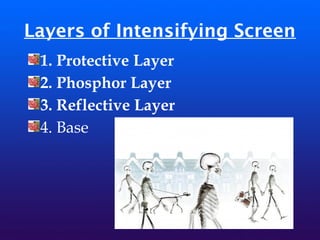 Layers of Intensifying Screen
1. Protective Layer
2. Phosphor Layer
3. Reflective Layer
4. Base
 