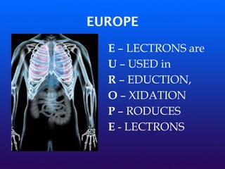EUROPE
E – LECTRONS are
U – USED in
R – EDUCTION,
O – XIDATION
P – RODUCES
E - LECTRONS
 