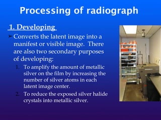 Processing of radiograph
1. Developing
➢Converts the latent image into a
manifest or visible image. There
are also two secondary purposes
of developing:
1. To amplify the amount of metallic
silver on the film by increasing the
number of silver atoms in each
latent image center.
2. To reduce the exposed silver halide
crystals into metallic silver.
 
