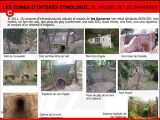 El 2011, 10 conjunts d’infraestructures ubicats al massís de  les Gavarres  han estat declarats BCIN-ZIE: tres molins, un forn de calç, dos pous de glaç (conformen una sola ZIE), dues mines, una font, una una rajoleria i el conjunt d’un sistema d’irrigació. LES ZONES D’INTERÈS ETNOLÒGIC.  EL MASSÍS DE LES GAVARRES Molí de Canyadell Molí del Mas Xifra de Vall Molí d’en Frigola Forn Gran de Fonteta Carregador de vagonets de la mina “Niño Jesús” Rajoleria de can Frigola Pous de glaç de la Font d’en Salomó Font Picant Galeria de la mina “Victoria Esperanza” Sistema hidràulic de can Vilallonga 