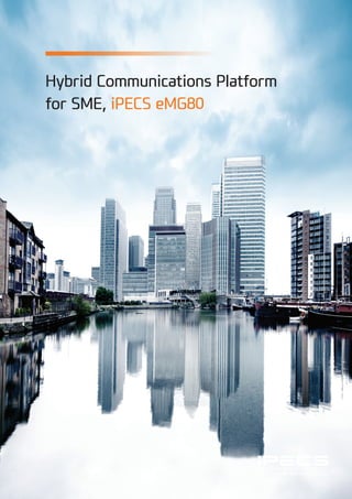 Hybrid Communications Platform
for SME, iPECS eMG80
 