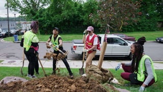 How to Manage What You Can’t Measure: The Backend of an Urban Forestry Nonprofit 