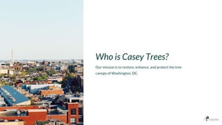 Who is Casey Trees?
Our mission is to restore, enhance, and protect the tree
canopy of Washington, DC.
 