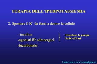 TERAPIA DELL’IPERPOTASSIEMIA

2. Spostare il K+ da fuori a dentro le cellule

      - insulina                       Stimolano la pompa
                                       Na/K ATPasi
      -agonisti ß2 adrenergici
      -bicarbonato



                                     Canavese x www.renalgate.it
 