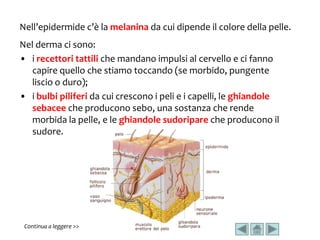 Il corpo umano | PPSX