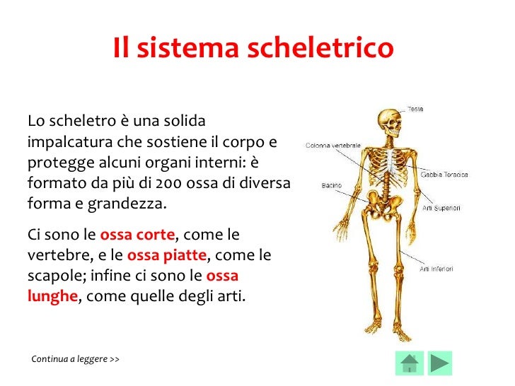Quello che aiuterà su lentiggini