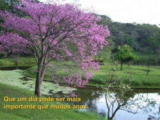 Que um dia pode ser mais importante que muitos anos .