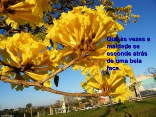 Que às vezes a maldade se esconde atrás de uma bela face .