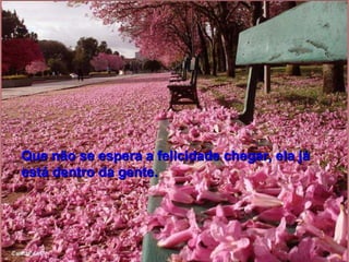 Que não se espera a felicidade chegar, ela já está dentro da gente.